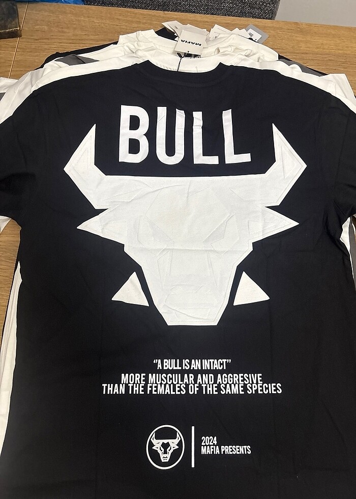 Unusex tshirt - Görsel 2