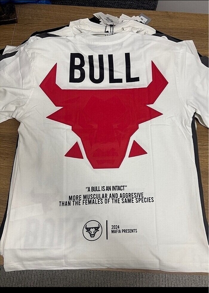 Unisex tisort (oversize ) - Görsel 2