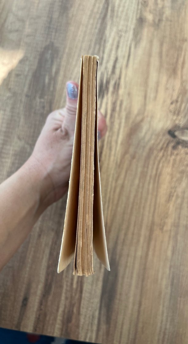 Dick and His Cat - Görsel 2