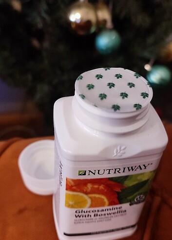  Beden Amway Nutriway Glucosamine With Boswellia TEG