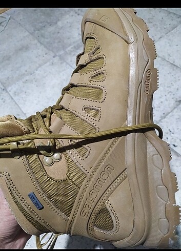 Salomon Bot
