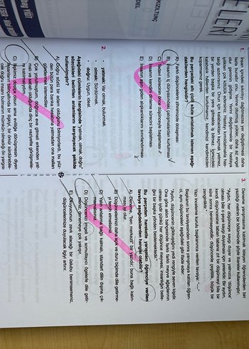 Bilgi Sarmal AYT Türk Dili ve Edebiyatı Branş Denemeleri
