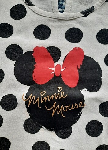 Walt Disney World 3 yaş uzun kol tişört