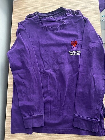 Diğer 9/10 yaş 3 adet uzun kol tshirt