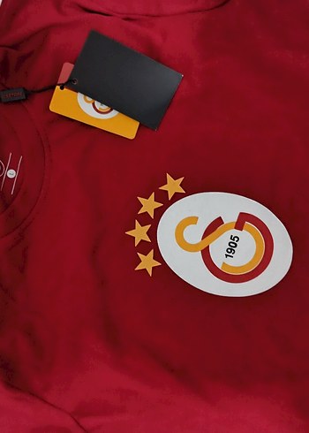 Puma Kırmızı Galatasaray Baskılı Erkek Tişört