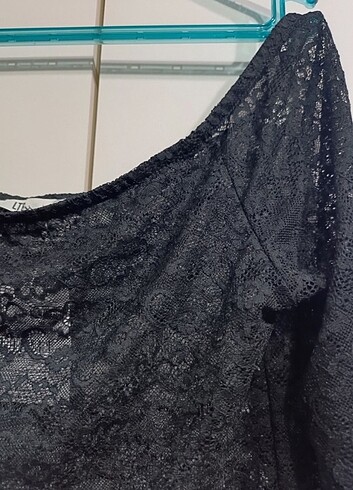 Dantel crop