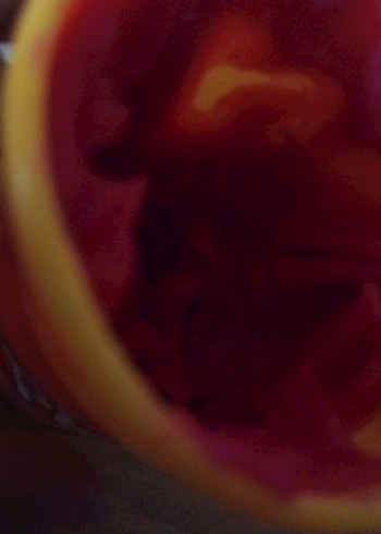 Beden Pembe-Play-Doh Oyun Hamuru