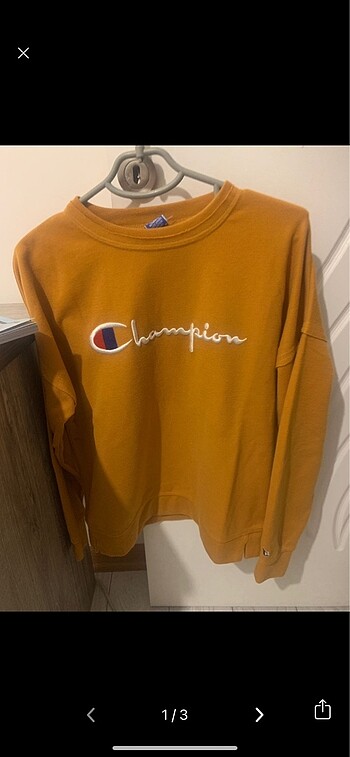 Champion sweatshirt