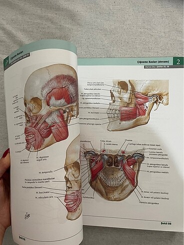  İnsan Anatomisi Atlası Netter 7.Baskı