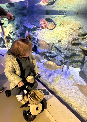 Zara yeşil takım - Görsel 4