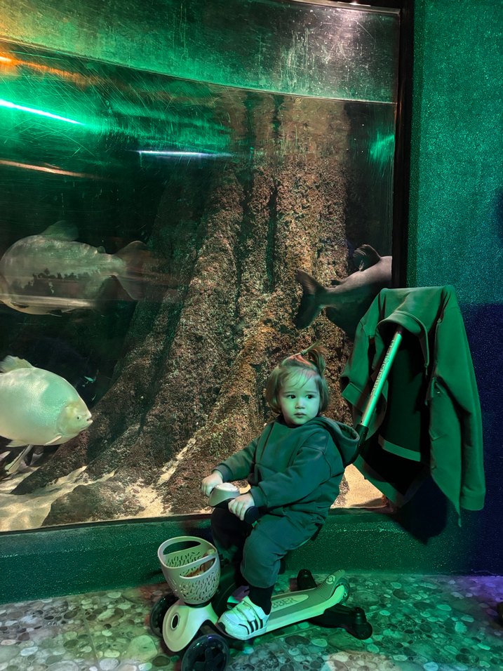 Zara yeşil takım - Görsel 3