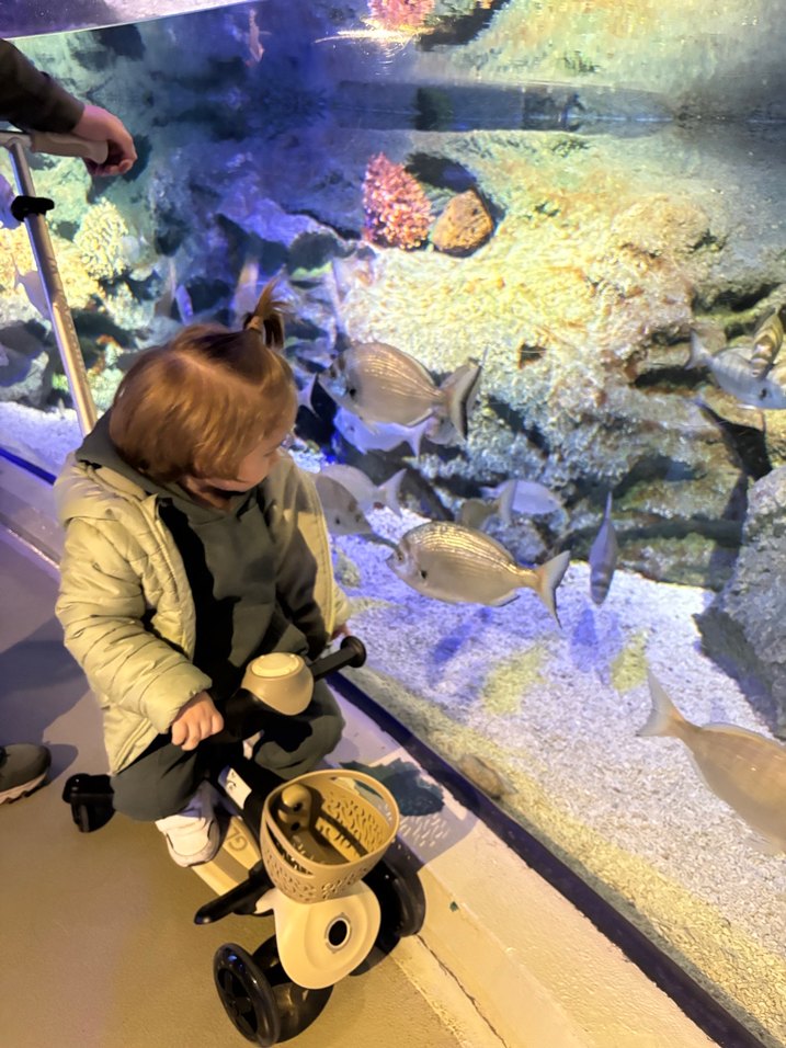 Zara yeşil takım - Görsel 4