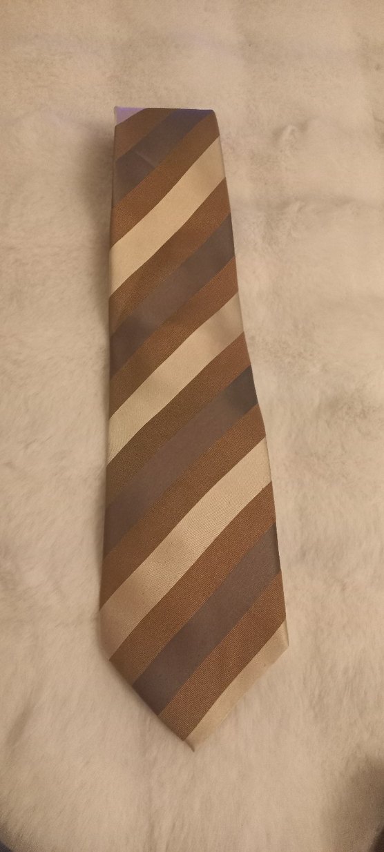 kigılı Bej ipek Kravat - Görsel 4