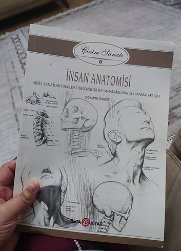 insan anatomisi