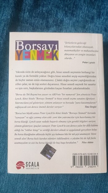  Peter lynch borsayı yenmek