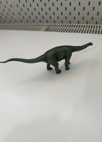  Beden Renk Dinozor