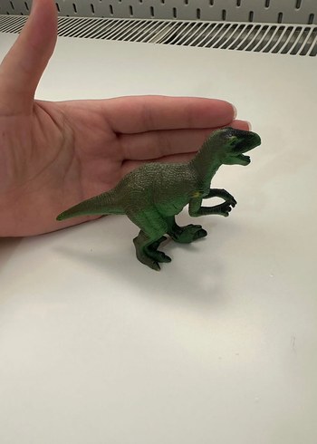  Beden Dinozor