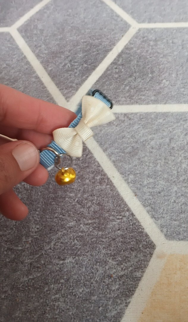 Beyaz Fiyonk ve Çanlı Kedi Boyunluğu - Görsel 2