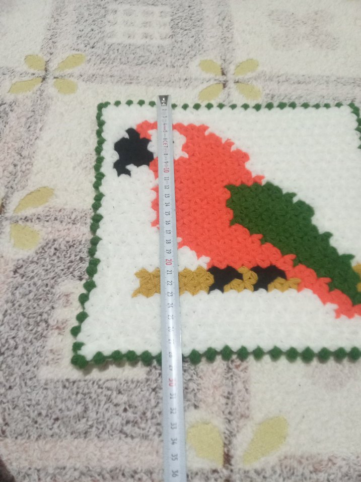 Renkli Papağan Desenli Banyo Süngeri - Görsel 3