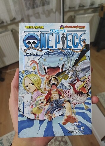 One Piece Cilt 29