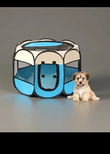 Kedi köpek Çadırı