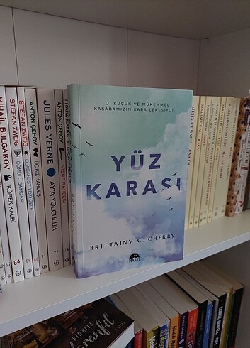 Yüz karası kitap