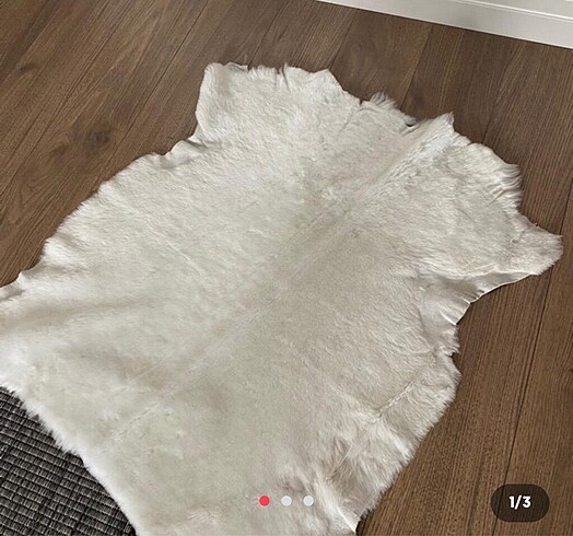 Diğer Koyun post orjinal