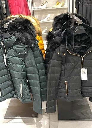 Zara mont