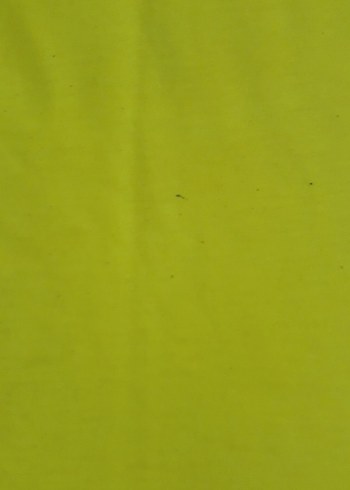 Renkli Çocuk Atletler 2'li Set - Görsel 5