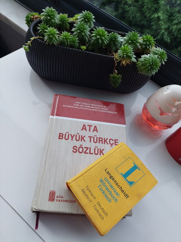 Ata Büyük Türkçe Sözlük Üniversite Kitabı - Görsel 2
