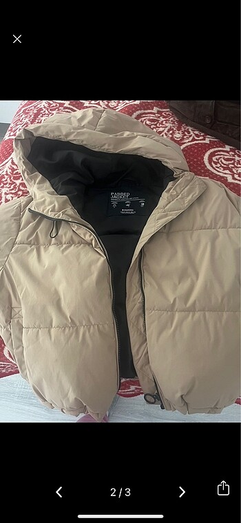 Stradivarius mont