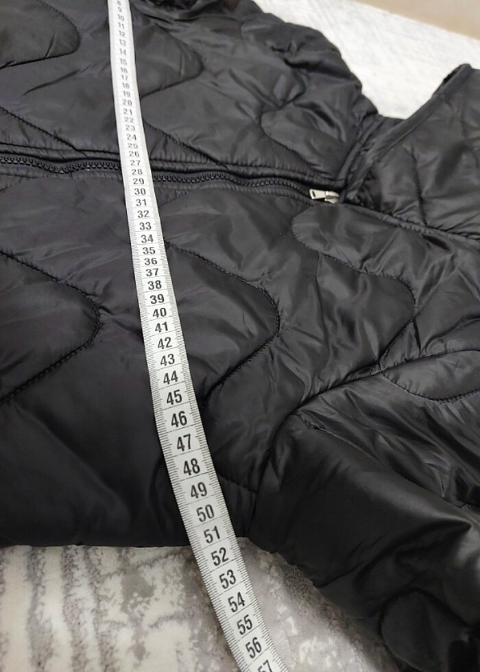 Kapitone kaban  - Görsel 2