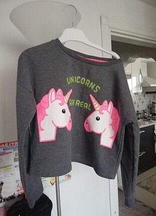 Unicorn takım