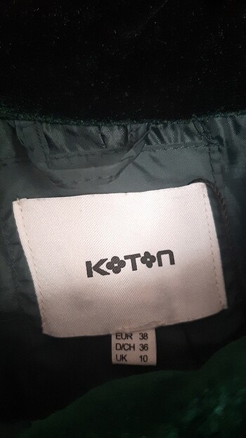 Koton Montt