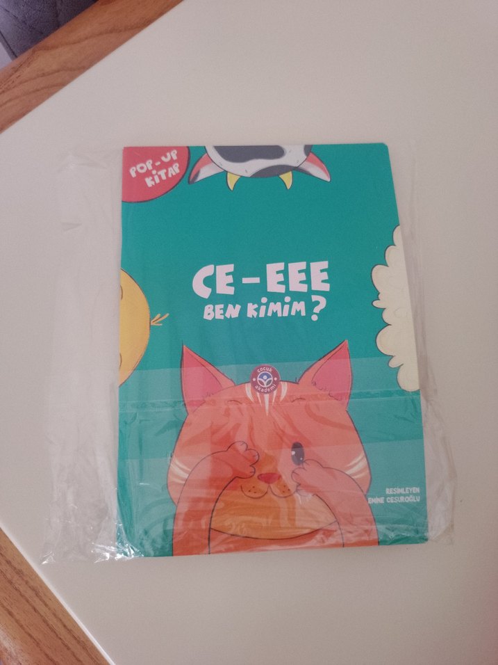 Çocuk Akademi Ce-Eee Ben Kimim? Kitabı - Görsel 2