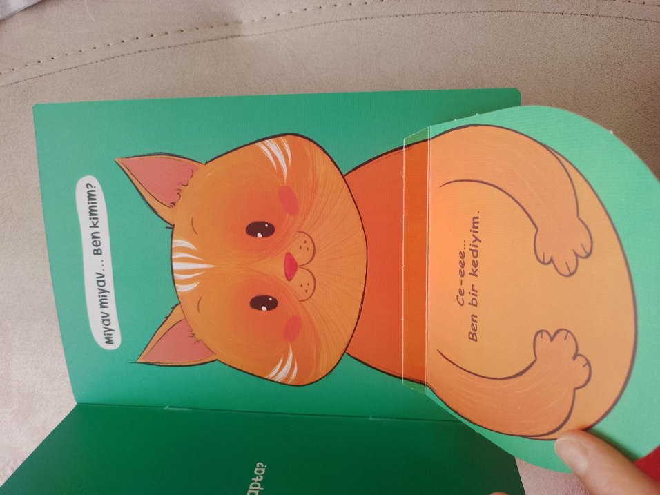 Çocuk Akademi Ce-Eee Ben Kimim? Kitabı - Görsel 5