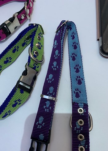 Renkli Paw Desenli Köpek Tasması - Görsel 2