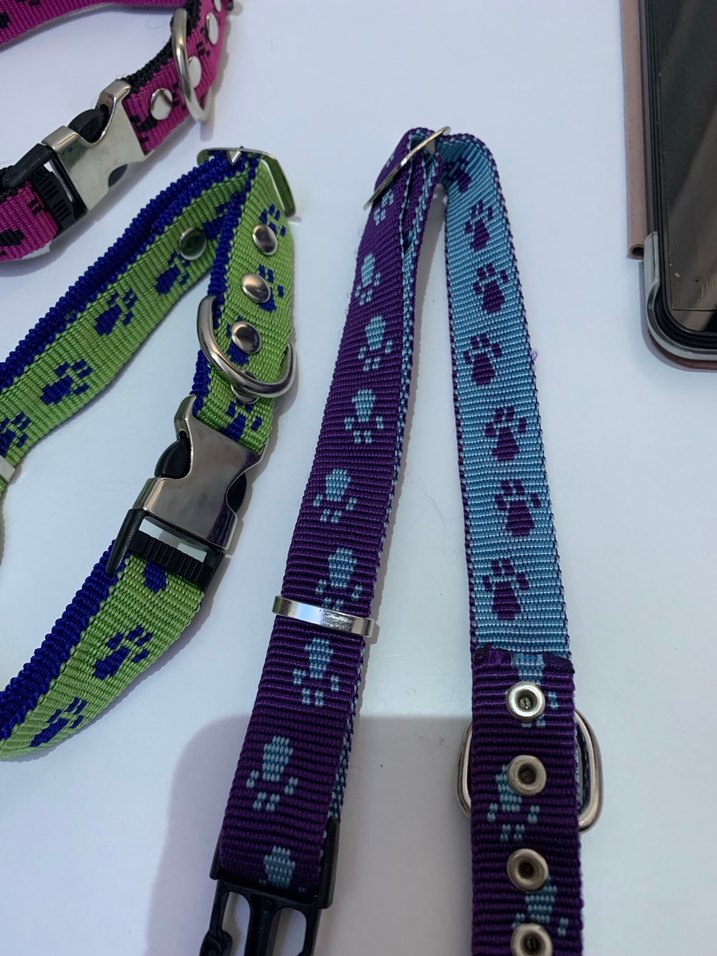 Renkli Paw Desenli Köpek Tasması - Görsel 2