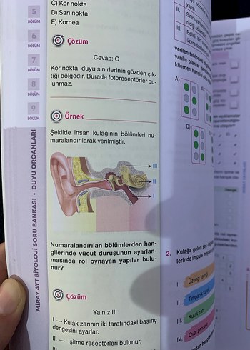 Biyoloji Soru Bankası - Pratik Notlar - Görsel 5
