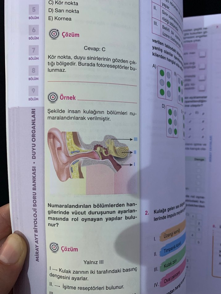 Biyoloji Soru Bankası - Pratik Notlar - Görsel 5