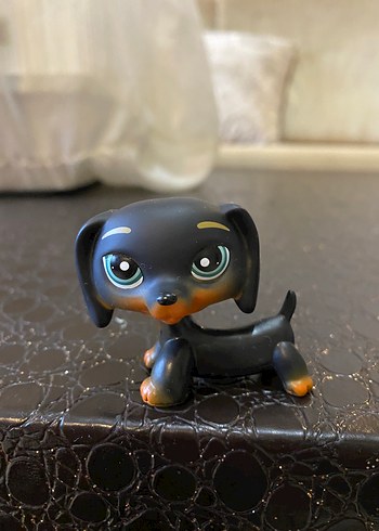 miniş