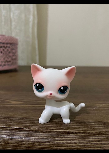 miniş