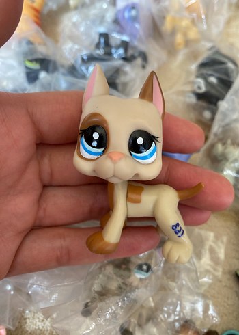 miniş
