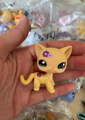 miniş