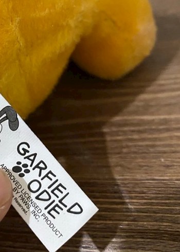 Diğer garfield