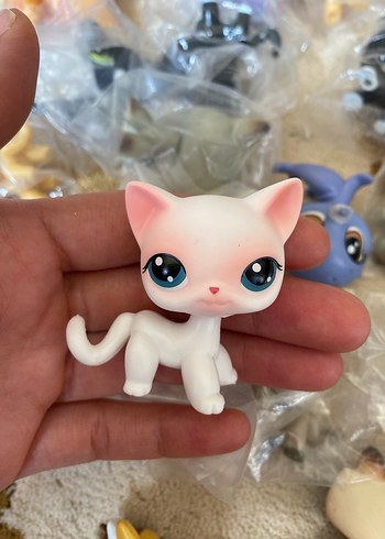 miniş