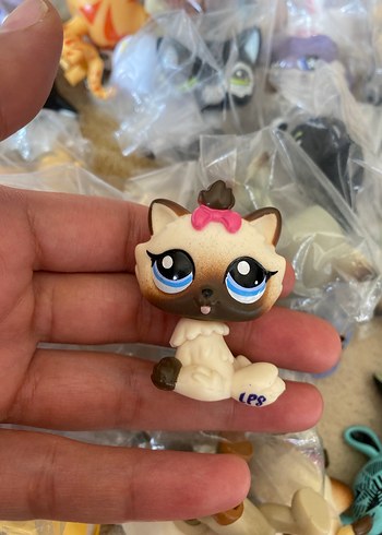 miniş