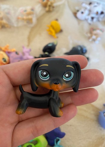 miniş