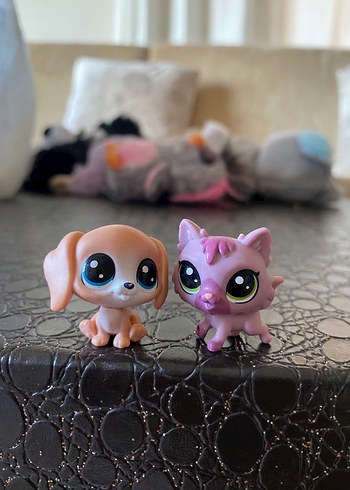 miniş