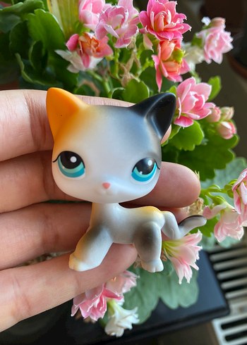 miniş